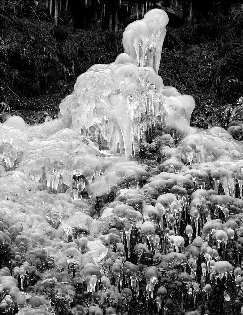 Oneonta Icicle 13-3761c bw.jpg